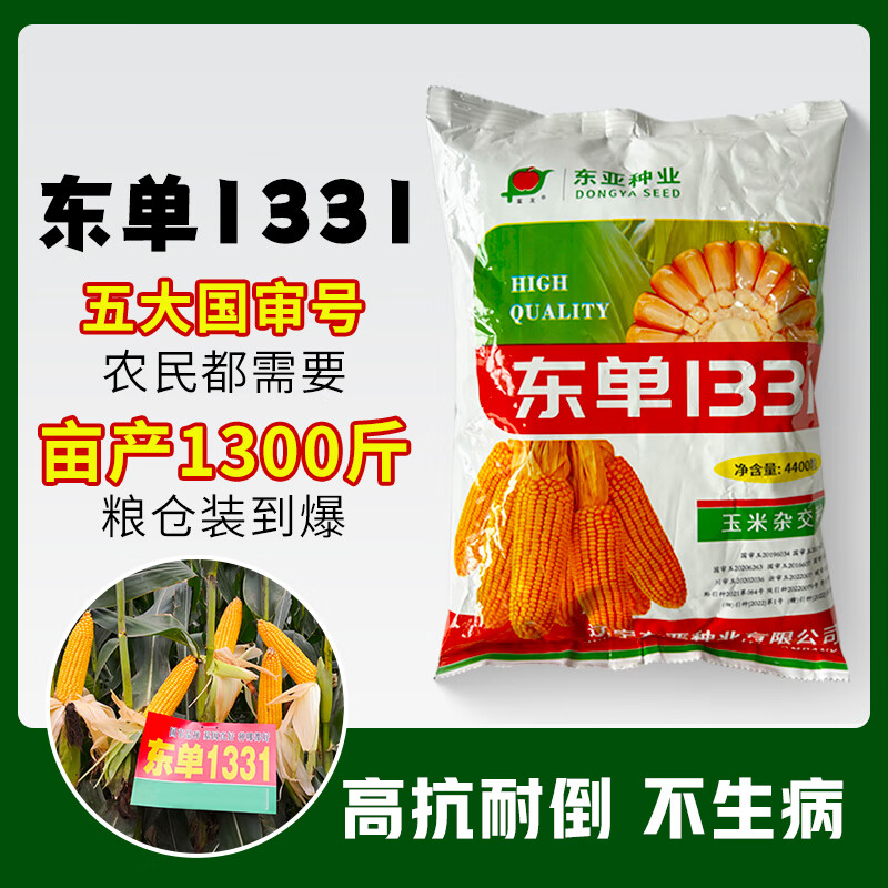 禾之润大田玉米种子丰产郑单958饲料玉米种籽万盛68良玉99玉米种孑