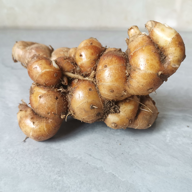 花中酷 新鲜沙姜白切鸡配料山奈个大香浓 可种植 1000g