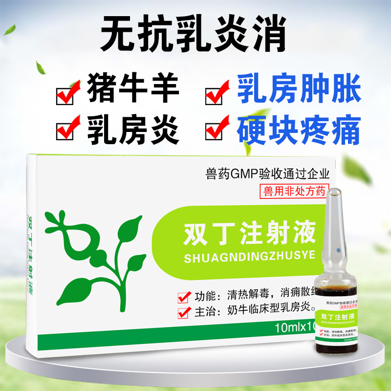 兽药兽用 双丁注射液无抗母猪羊乳房炎药兽用鱼腥草双丁注射用液 1盒