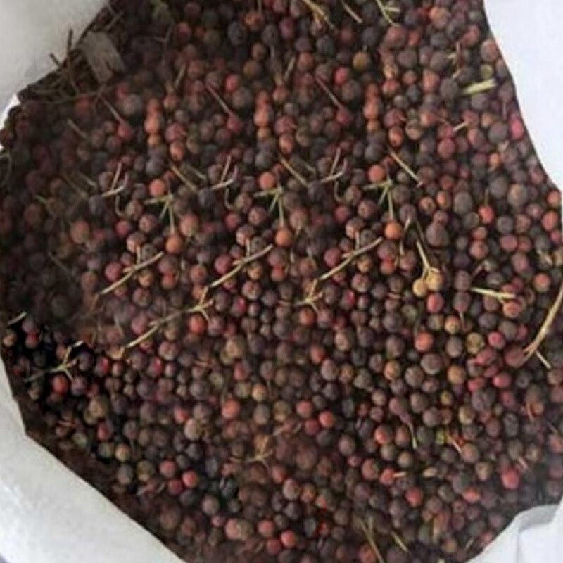 傲霜枝秋阳种业红叶石楠种子 石楠球 高杆石楠 树种子苗木林木花草