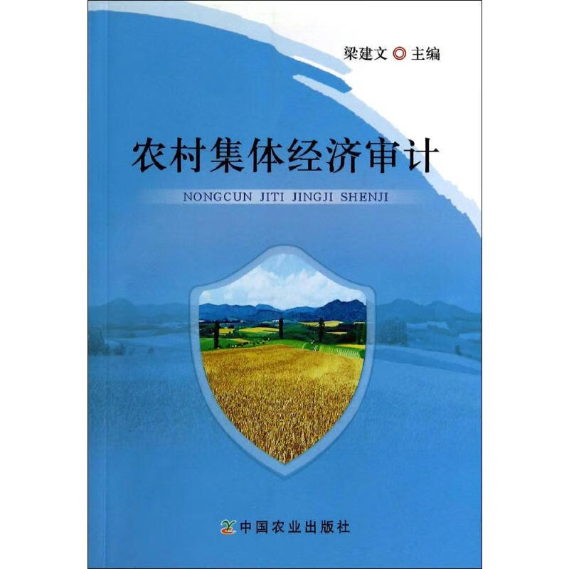 农村集体经济审计  书籍