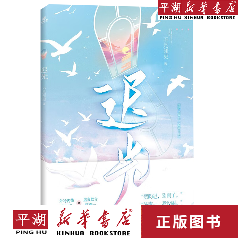 【新华书店正版书籍】迟光(网络连载名柔软关系)