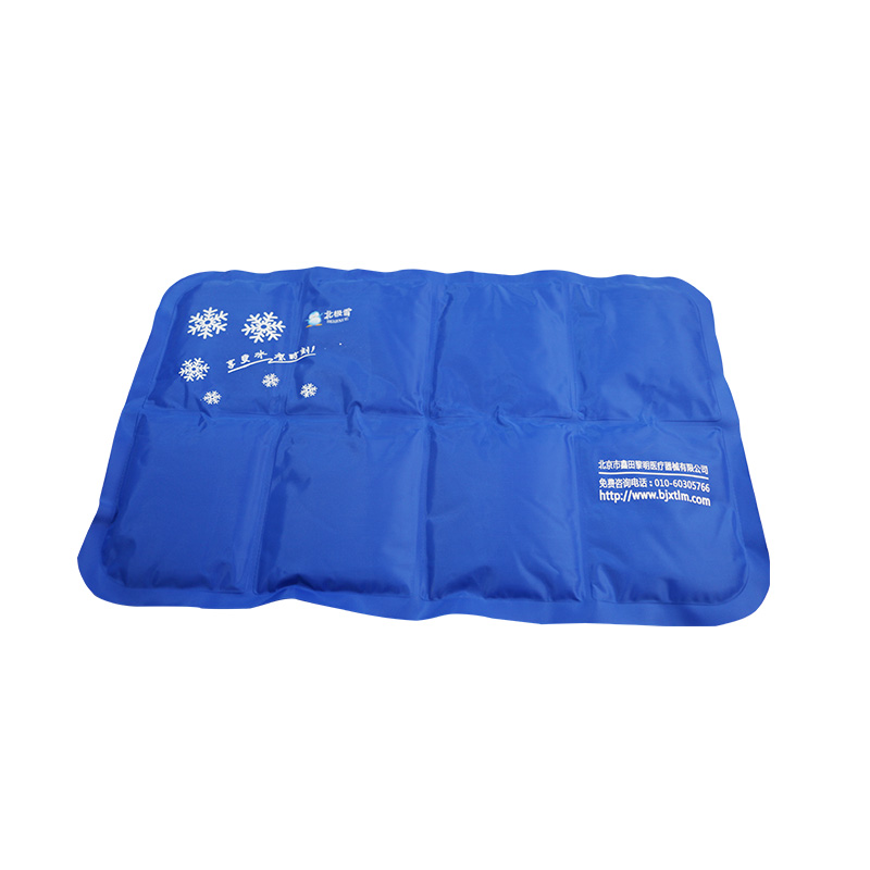 北极雪 医用冰垫冰枕成人物理退热冷敷降温TPU+冰胶 B型蓝1号 大号 B032