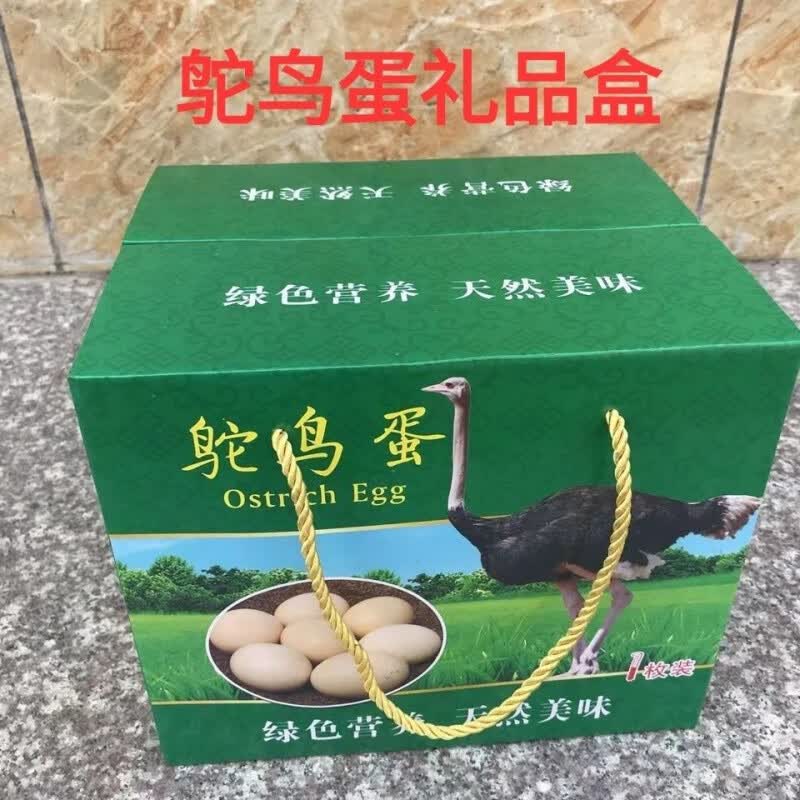 6斤新鲜鸵鸟蛋 普通包装