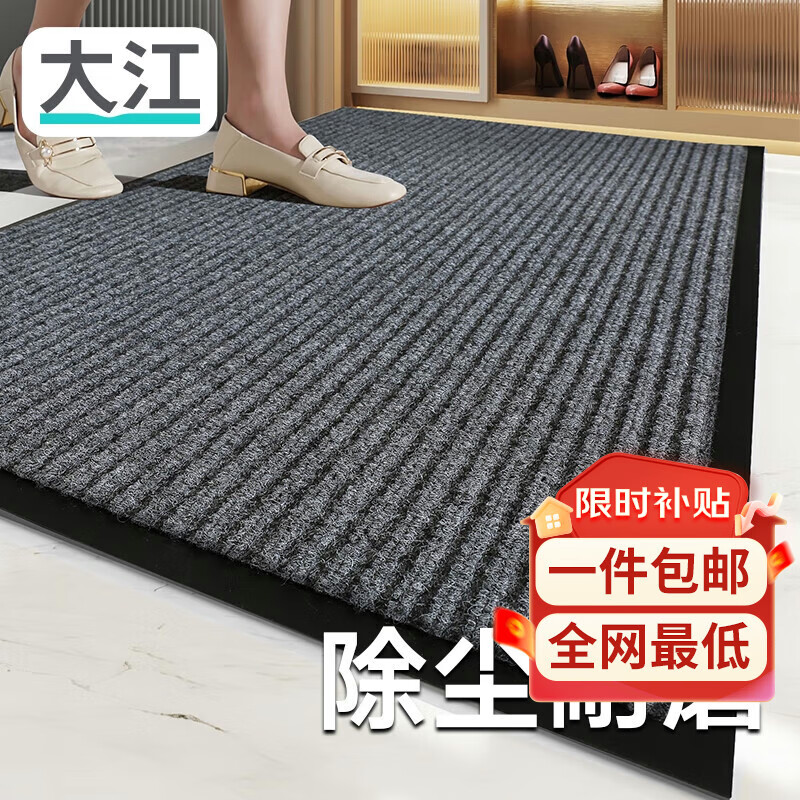 大江 入户门地垫 脚垫进户门进门地垫60x90cm 倾缕条纹