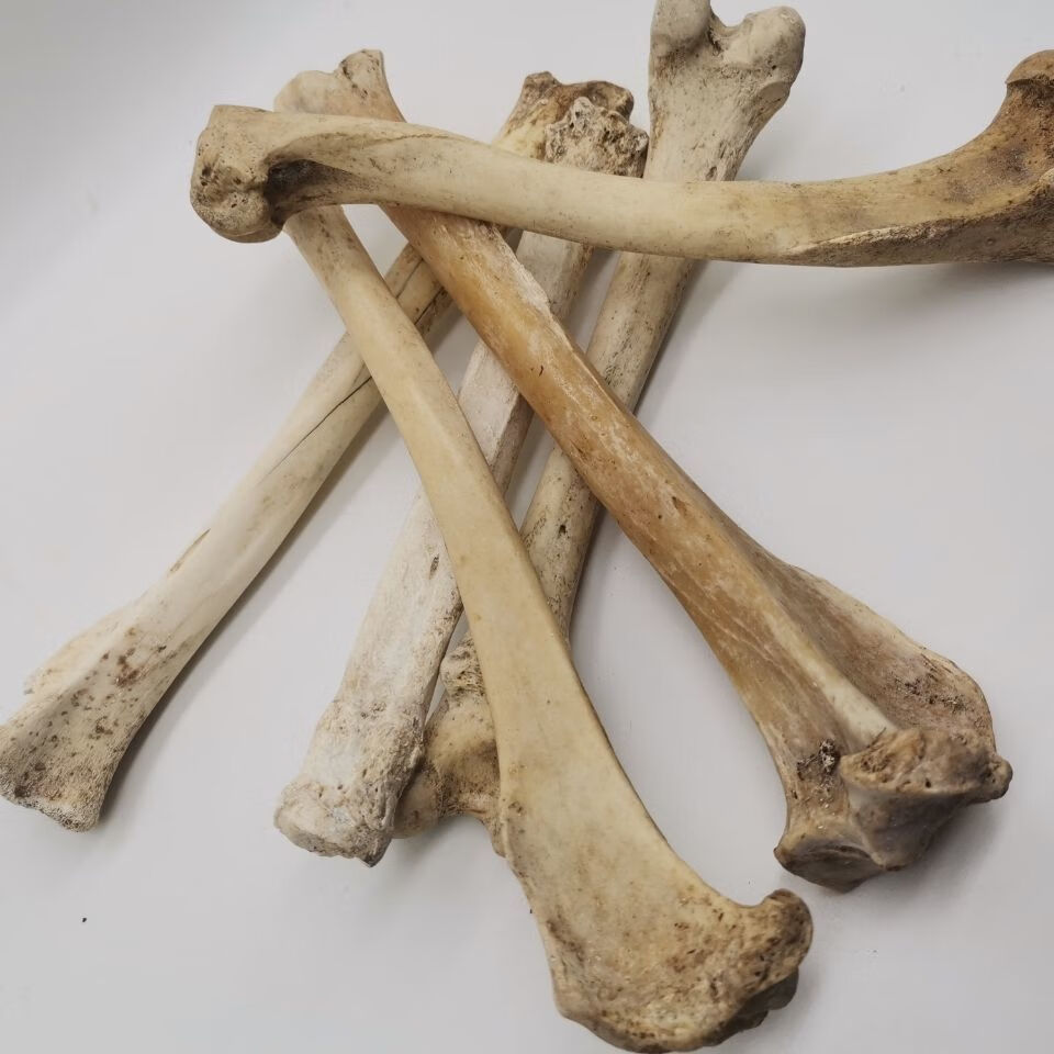 中药材狗骨头粉煅狗骨头制狗骨头粉药用犬骨粉 狗骨头1000克