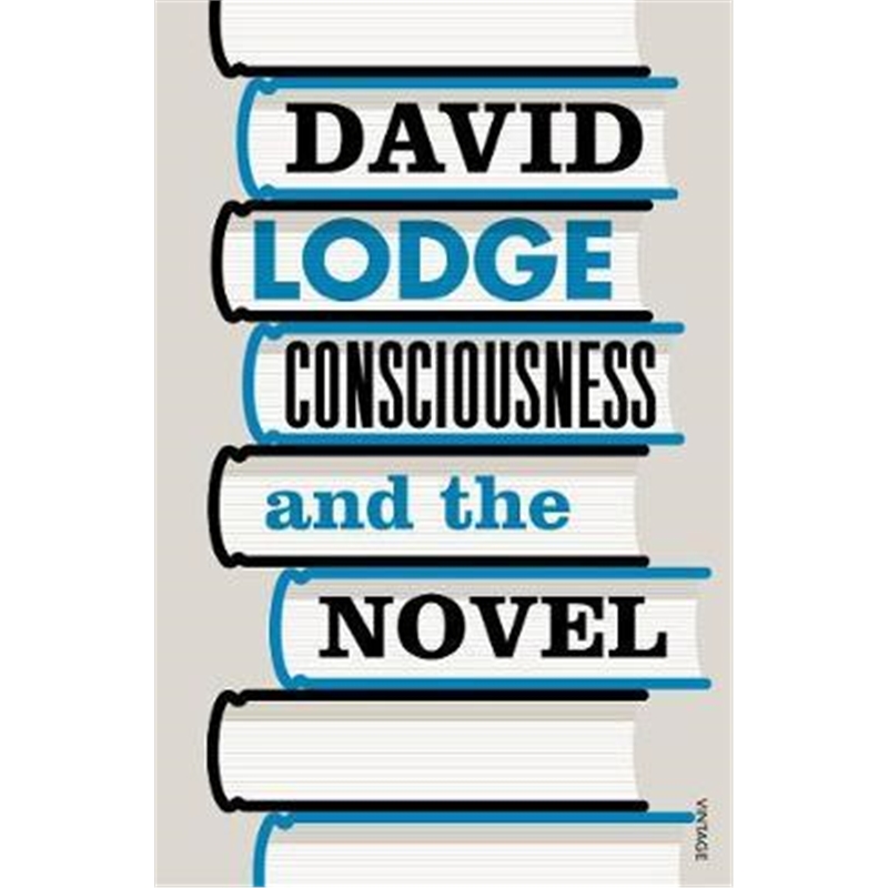 预订consciousness and the novel