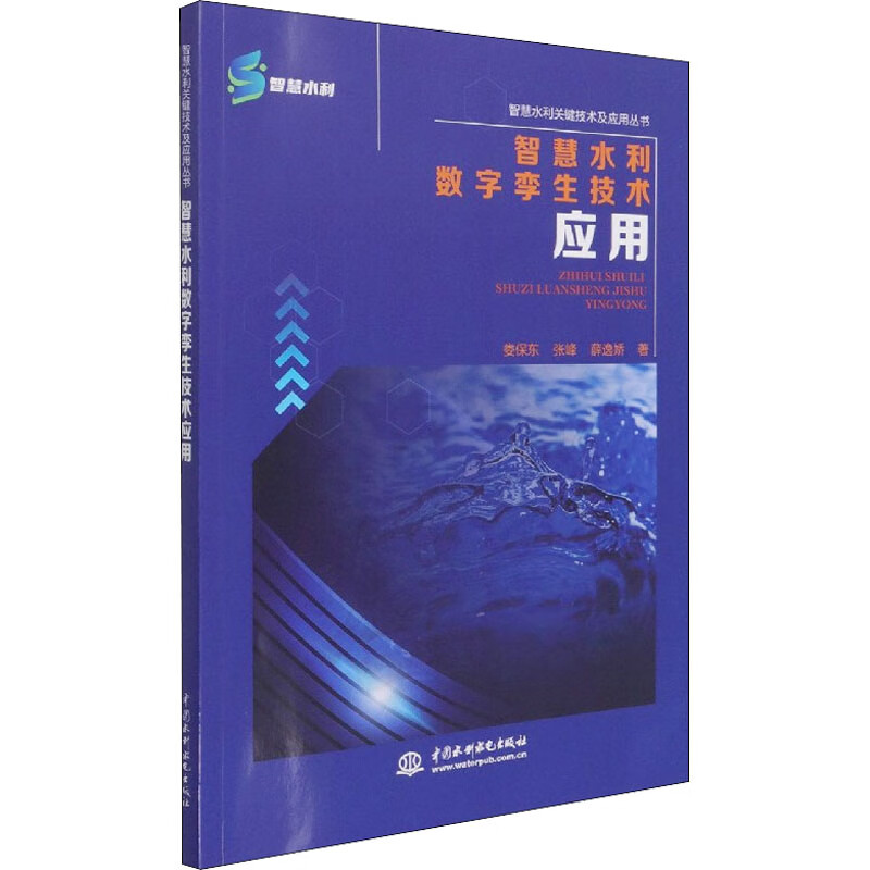 智慧水利数字孪生技术应用 图书