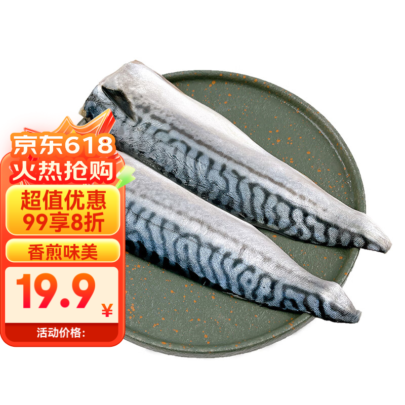 纯色本味 冷冻挪威青花鱼片 300g 2-3片  鲭鱼片 烧烤 生鲜鱼类