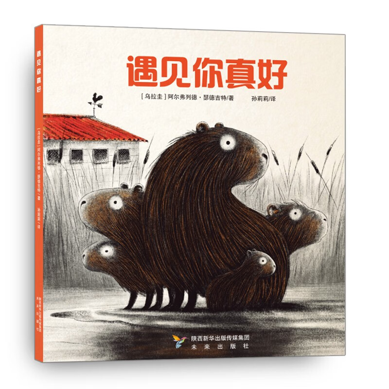 遇见你真好(一群丰衣足食的公鸡,母鸡和小鸡,一群无家可归的水豚.