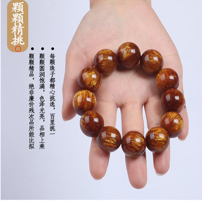 裴姣 海柳手串 金丝海柳手串黑珊瑚文玩收藏级陈年老料sn3154 精品