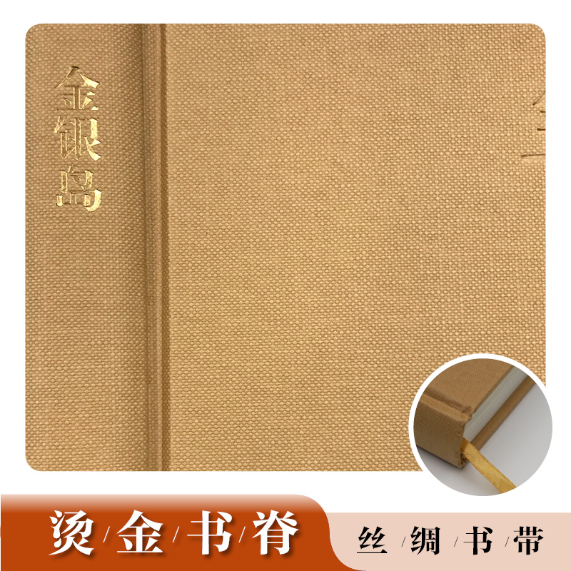 名译名绘版金银岛 精装 7-15岁外国儿童文学儿童读物 荣如德翻译 彭懿