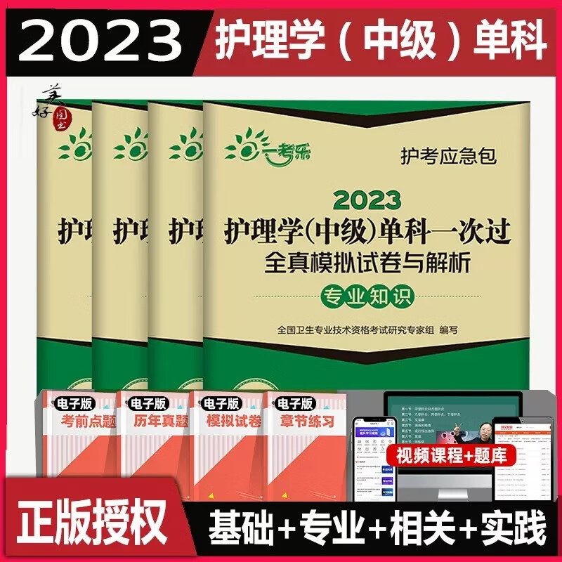 2024护理学中级单科一次过全真模拟试卷与解析基础知识+专业知识+相关专业知识+专业实践能力全套4科主管护师考试书可搭人卫教材模拟同步练习试卷历年真题 全套4本