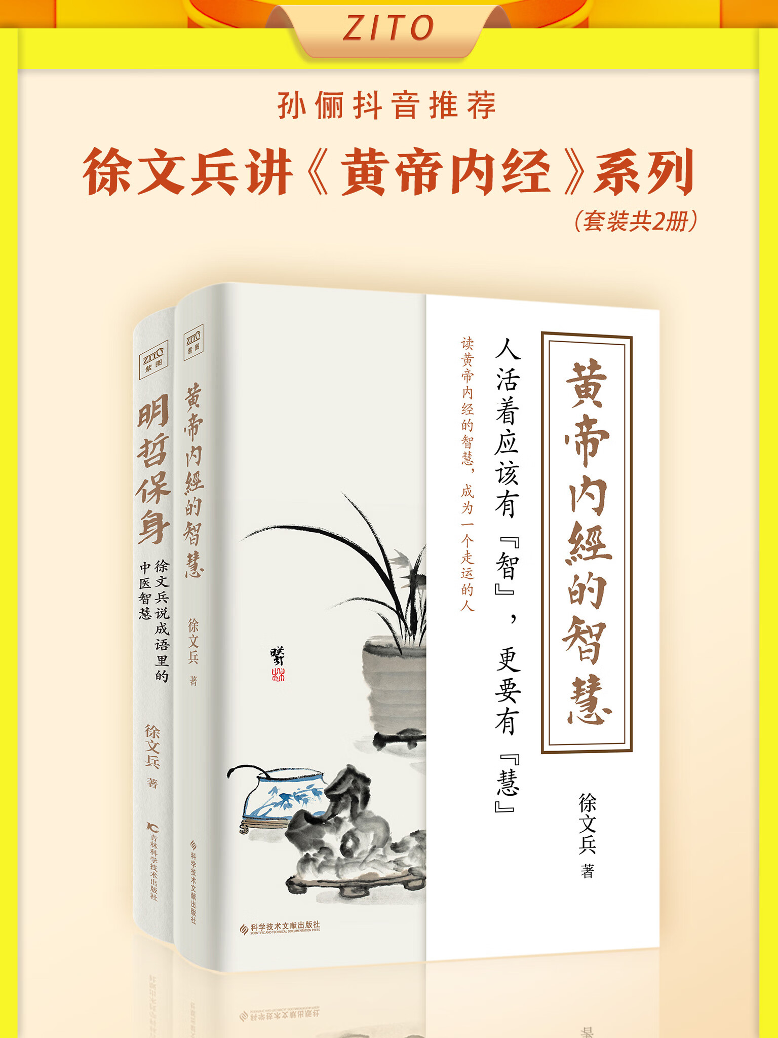 徐文兵讲《黄帝内经》系列:黄帝内经的智慧 明哲保身(套装共2册)