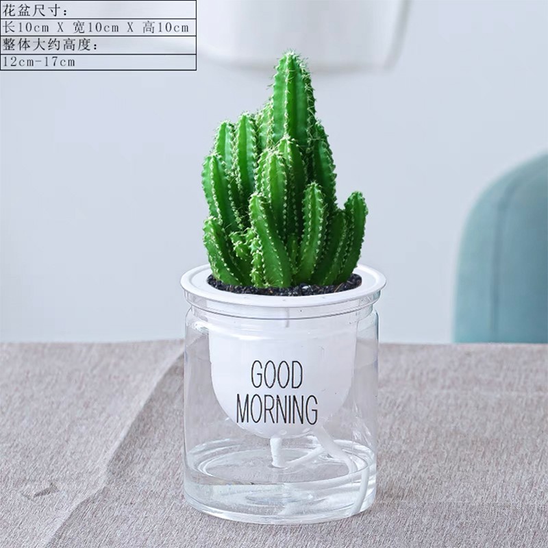 小冤家仙人球万重山多肉盆栽室内耐旱仙人掌四季常绿好养可爱 万重山