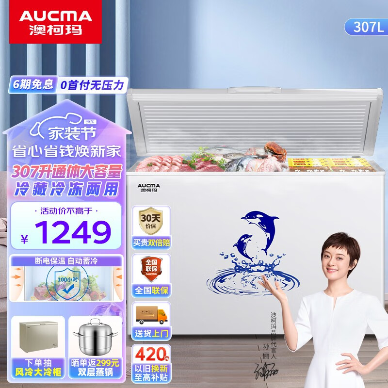 澳柯玛（AUCMA）307大容量家用商用卧式大冷柜 冻藏转换柜 低噪节能顶开门冰柜 BC/BD-307HNE属于什么档次？