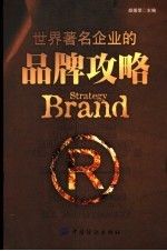 世界著名企业的品牌攻略9787506436151中国纺织出版社