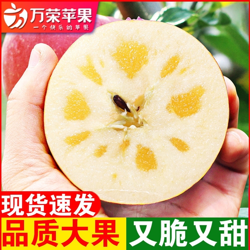 鹏翔宇【顺丰包邮】正宗山西万荣红富士苹果薄皮脆甜当季新鲜水果礼盒装 正宗山西万荣红富士苹果【顺丰到家】 净重8-8.5斤商超大果【13-15枚】