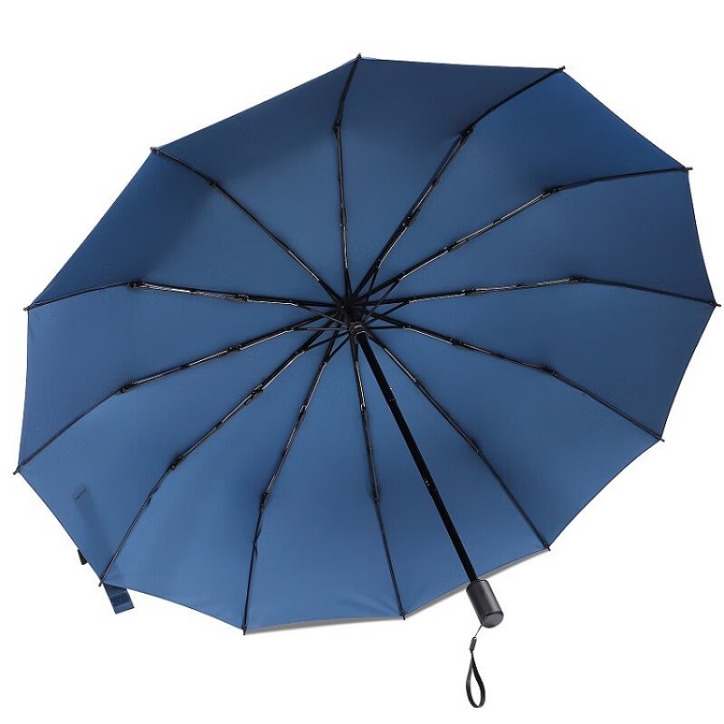 雨伞大号加固加厚结实抗风折叠 12骨雨伞折叠手动加固加厚晴雨两 藏青