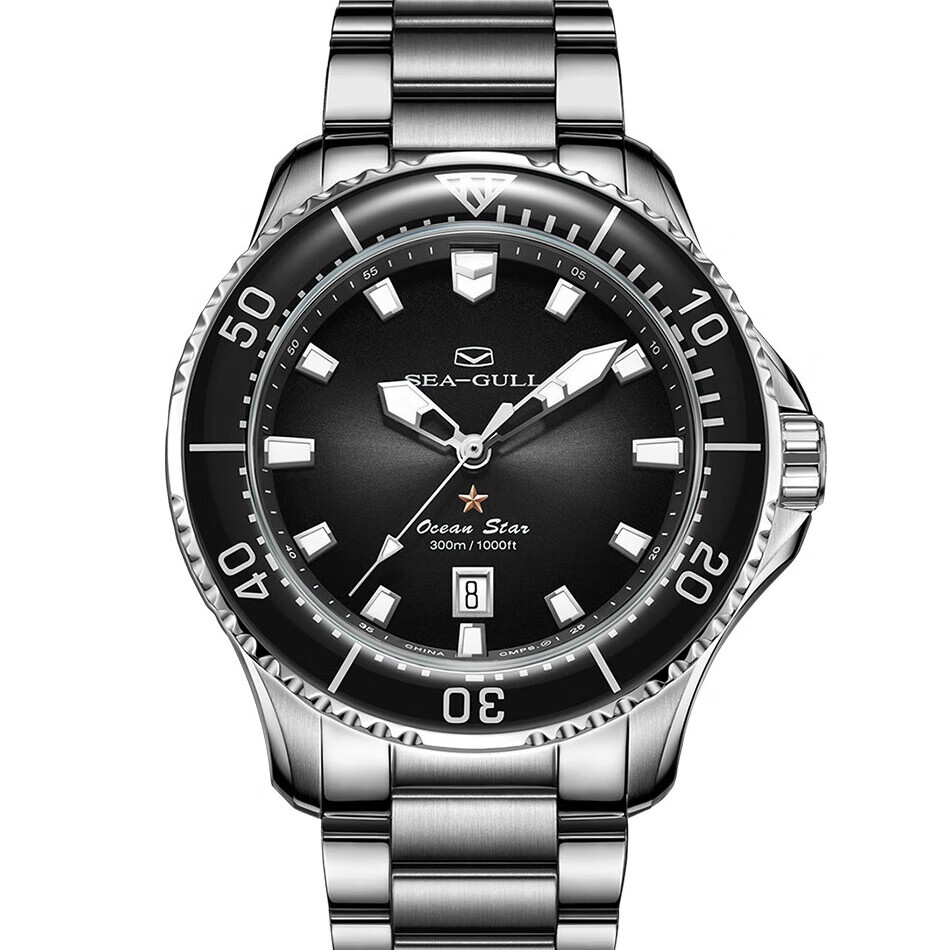 海鸥海鸥手表机械表海洋之星pro系列300m防水国表 816.42.1210 816.