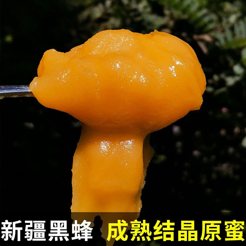 蜂蜜纯正原蜜野百花土蜂蜜农家自产成熟蜜新疆黑蜂蜜纯蜂蜜 500g（一斤）