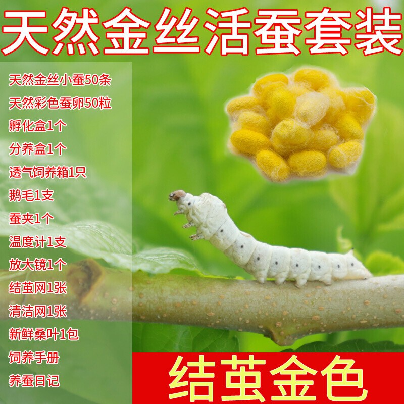 双十一查园艺辅材历史价格|园艺辅材价格比较