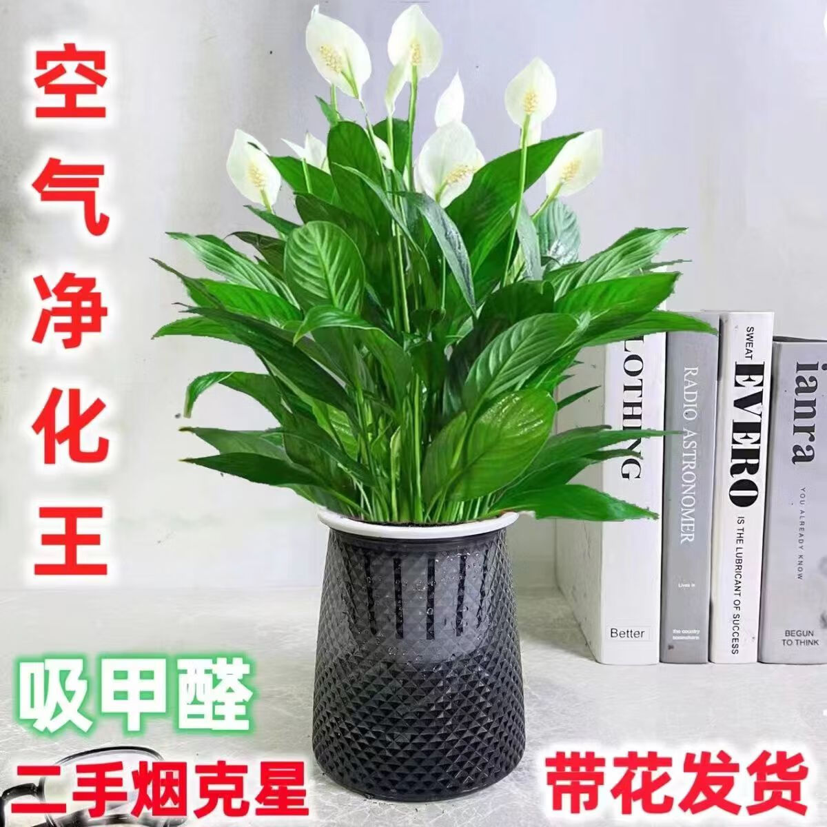 花卉京东史低|花卉价格走势图