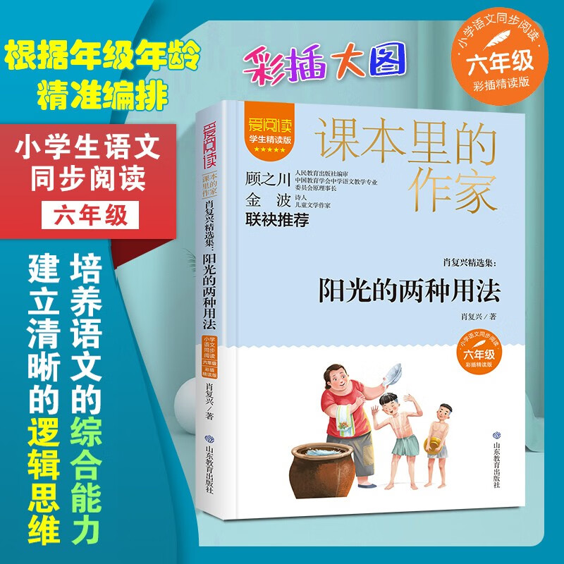 肖复兴精选集:阳光的两种用法/课本里的作家肖复兴的经典散文集六年级