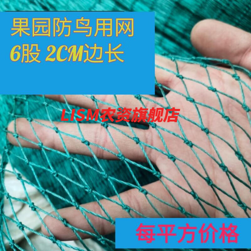 lism尼龙网网布密布  纱网鱼塘防逃围网护 6股2cm网孔每平方价格_【防