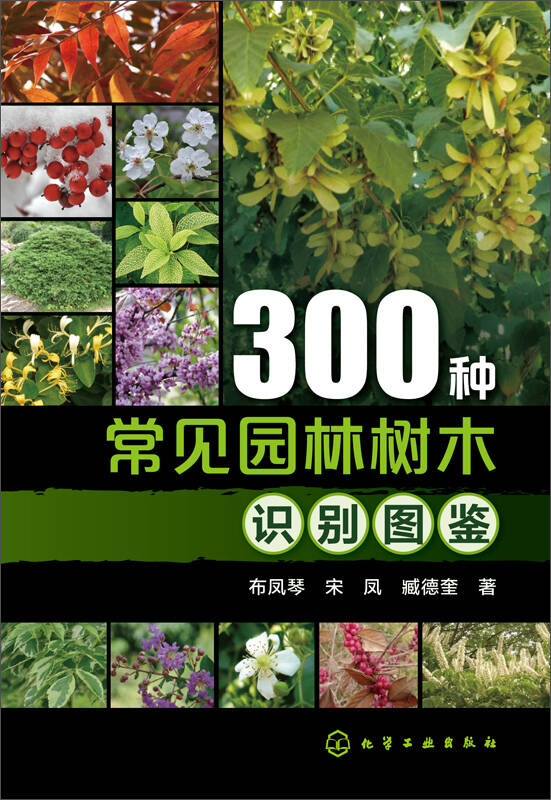 【新华书店】300种常见园林树木识别图鉴