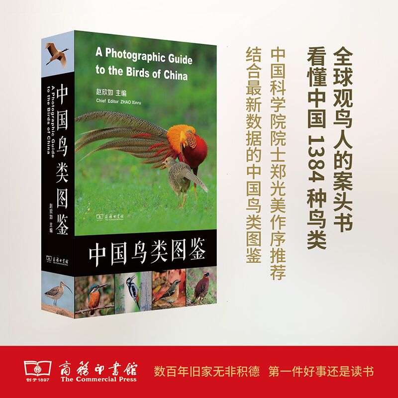 正版中国鸟类图鉴 赵欣如 商务印书馆自然手册丛书野外鸟类研究与观察