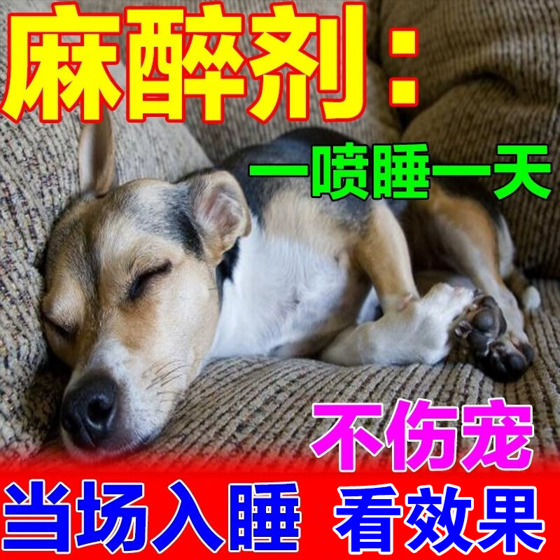 狗狗镇定剂快速睡眠防止狗叫神器狗药抓流浪狗户外宠物情绪安抚剂 1