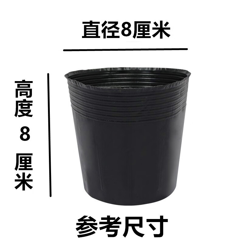 營(yíng)養(yǎng)杯育苗杯一次性黑色營(yíng)養(yǎng)袋育苗袋大號(hào)播種植塑料育苗盆營(yíng)養(yǎng)缽 10*10(口徑8高8)500個(gè)