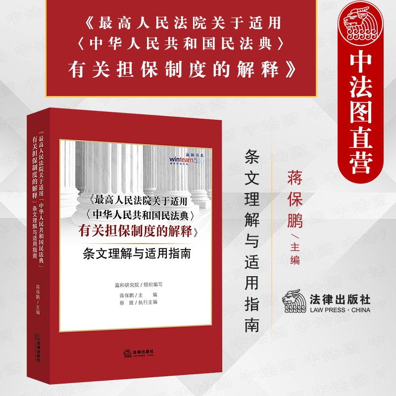 正版 2021新书 最高人民法院关于适用中华人民共和国民法典有关担保制度的解释条文理解与适用指南