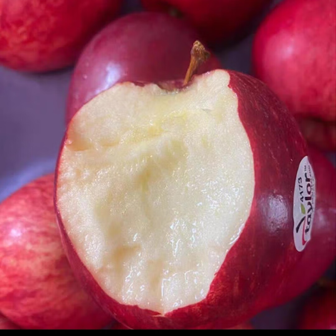 新西兰进口嘎啦果苹果水果当季新鲜姬娜苹果加力果加丽果12个装 10个（单果180-200g）