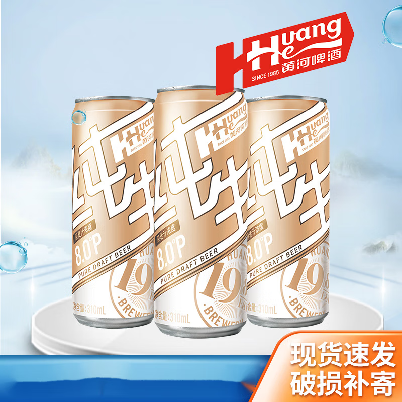 黄河啤酒纯生310*24听整箱亲朋好友聚餐酒水酒吧ktv啤酒 310ml*24听