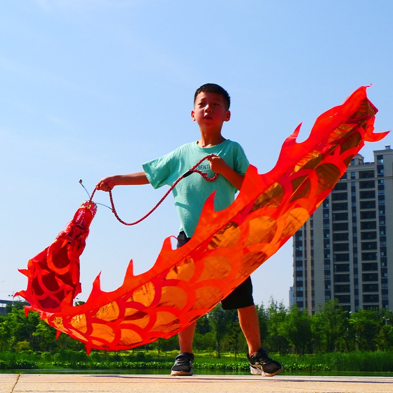 华铃广场健身甩龙舞龙彩带甩彩龙彩条初学儿童烫金舞龙立体龙头节目 3