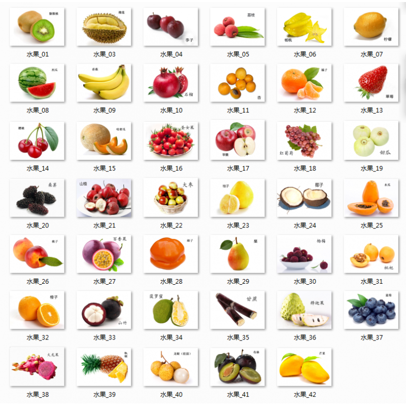 自闭症儿童认知卡片卡片全套孤独症aba康复训练教材语言发育迟缓 水果