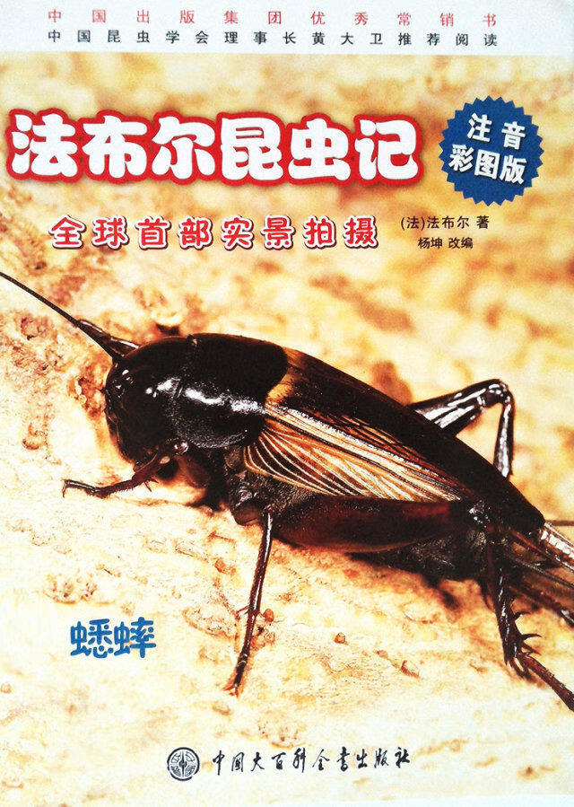 法布尔昆虫记:蟋蟀(注音彩图版)