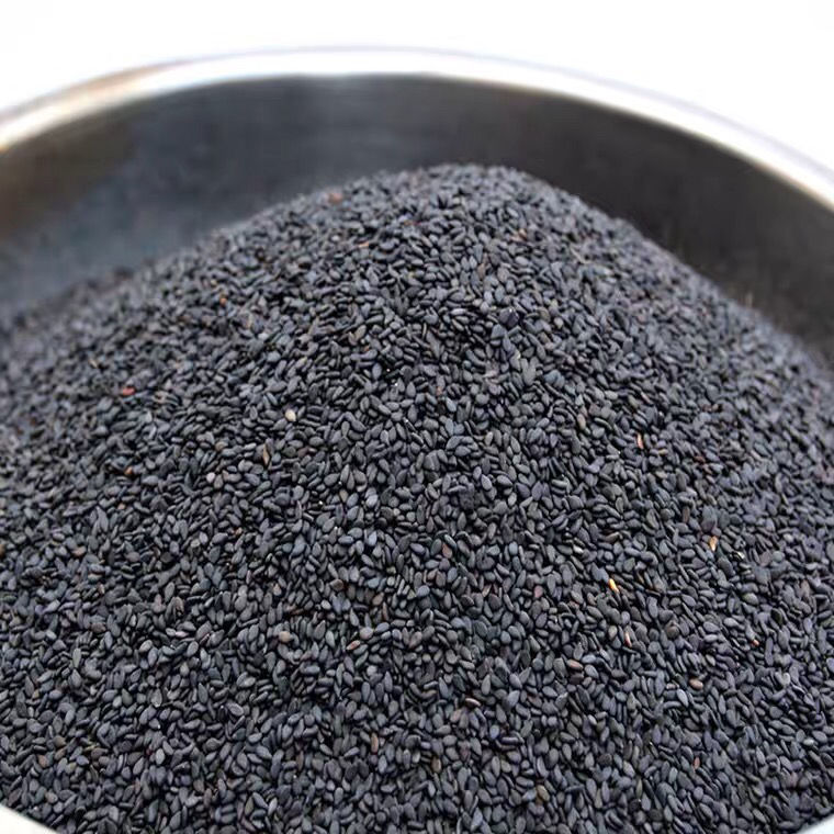 晨臻 生黑芝麻新鲜河南驻马店农家自产自种生的吃的散装新货芝麻粒 生