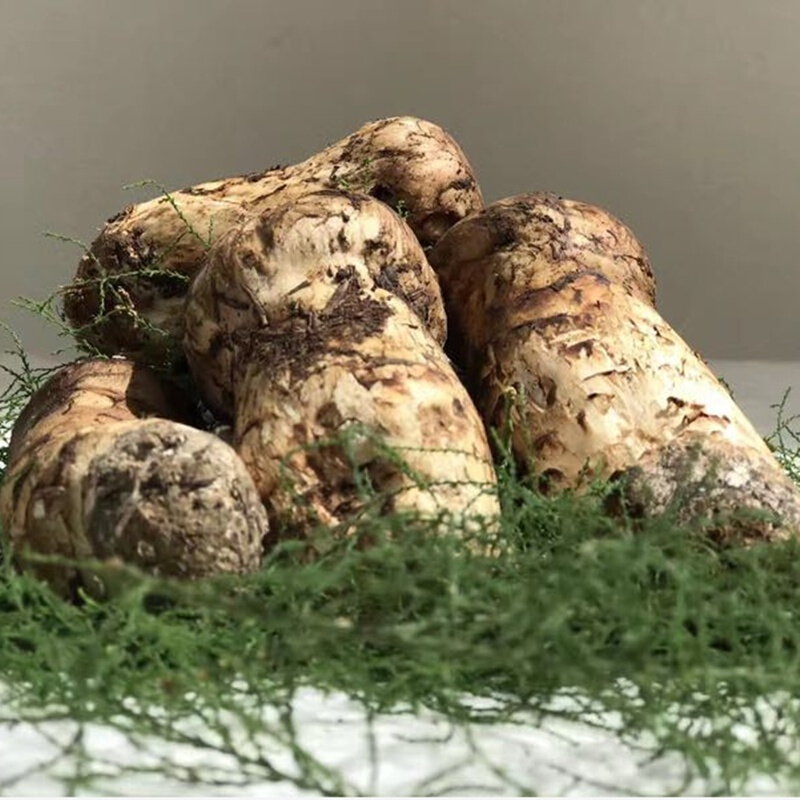 新鲜松茸 松茸云南特产香格里拉松茸菌蘑菇1000g 一级货 3-5 cm 1000g