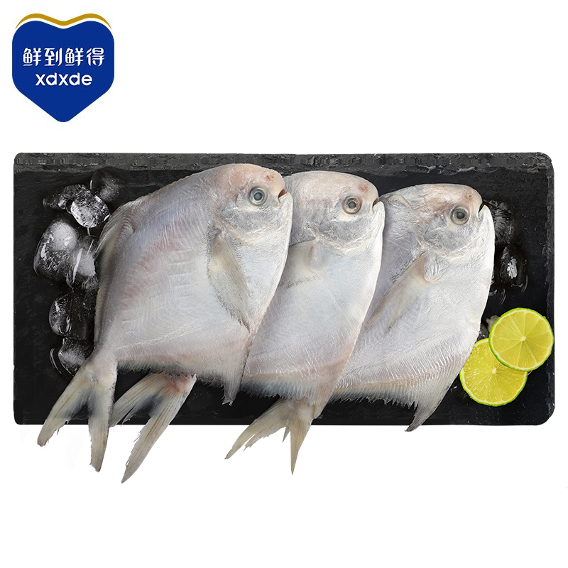 鲜到鲜得 东海银鲳鱼 800g 8条/袋 平鱼 生鲜 鱼类 海鲜水产 健康轻食