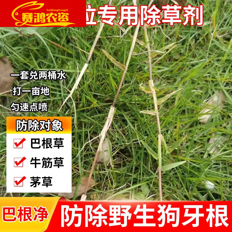 巴根净静杂草除草剂马尼拉专用除野生狗牙根巴根草牛筋草马唐 110g