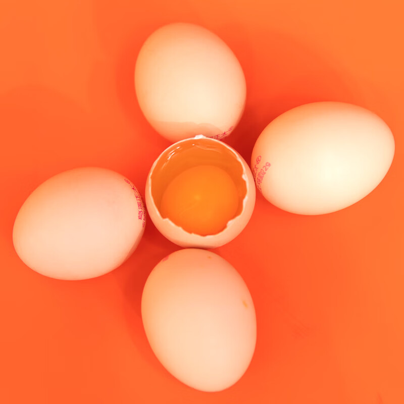 怎么查蛋类商品的历史价格|蛋类价格历史