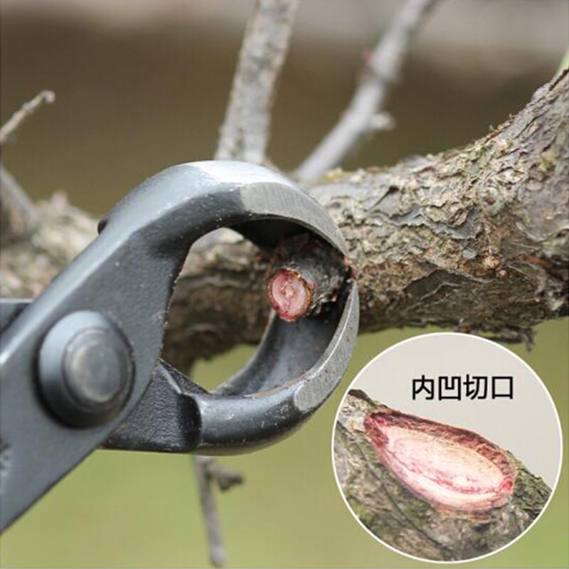 穆淳傲盆景工具球节剪球形剪树瘤树节修剪钳盆景工具制作养护盆栽工具