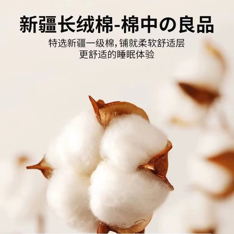 新疆棉花被棉被芯垫被褥子棉絮单人春秋被加厚保暖棉被冬被冬季 蓝大格-可拆洗【新疆棉花填充】 180x220cm冬被【约8斤】