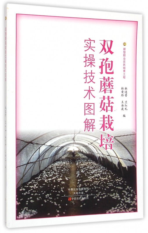 双孢蘑菇栽培实操技术图解