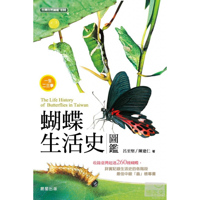 现货 蝴蝶生活史图鉴 14  吕至坚, 陈建仁 晨星 进口原版