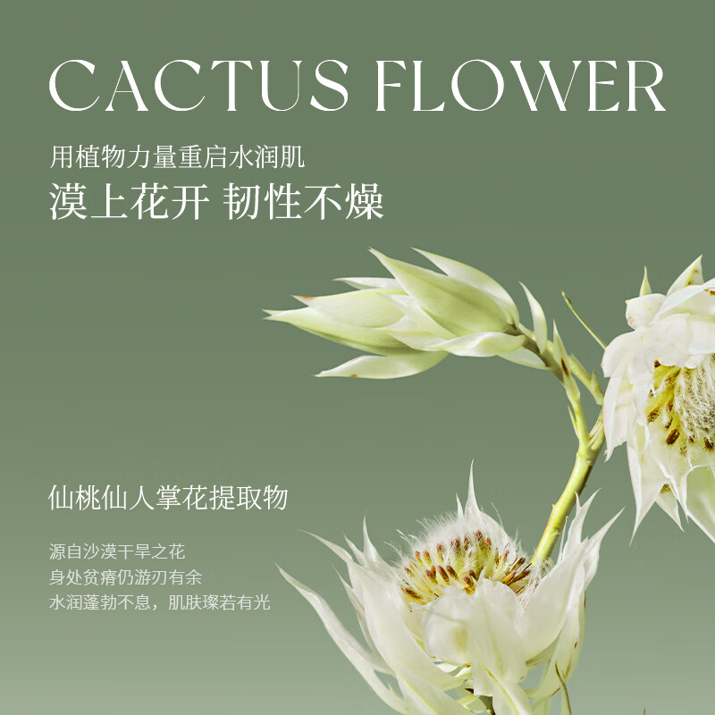 花皙蔻仙人掌花水乳套装 清爽补水深润保湿水油同补干皮护肤 送女友礼物 【水乳霜极润保湿】水100ml+乳90g+面霜50g
