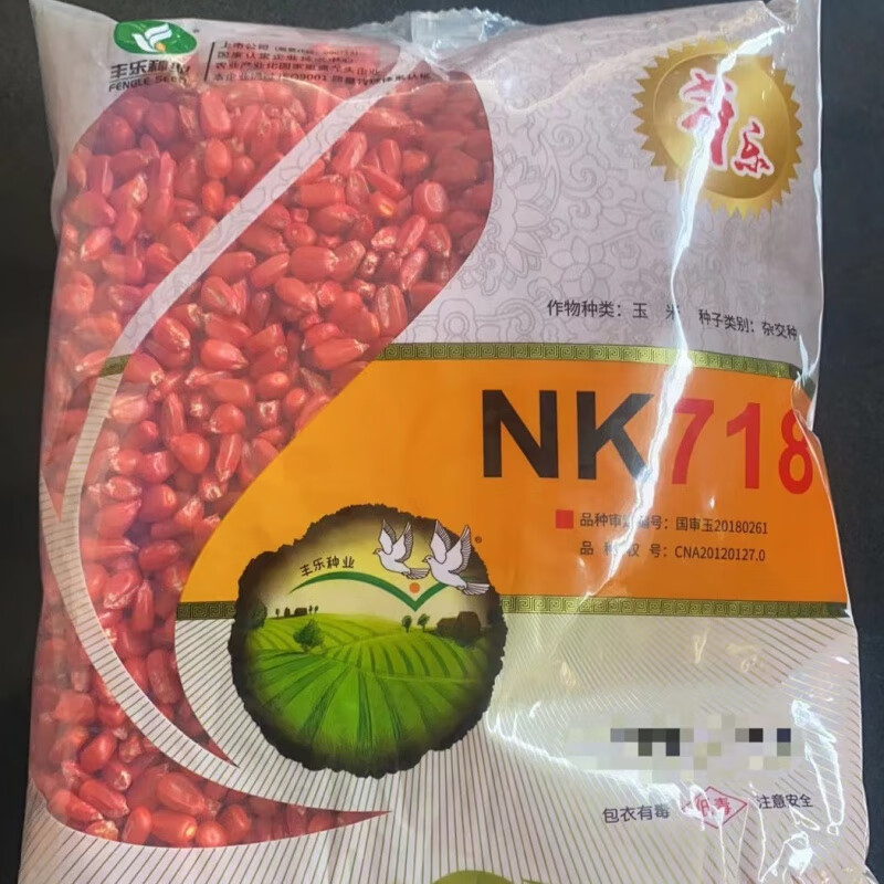 批发大棒玉米种子国审矮杆抗倒抗旱马牙细轴南北种植 nk718(9斤)三亩